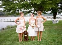wedding photo - How to Include Your Dog In Your Wedding Day 