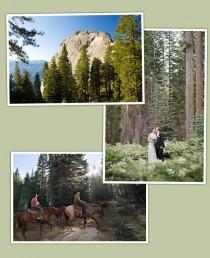 wedding photo - Get Married at Sequoia National Park