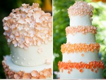 wedding photo - Cake