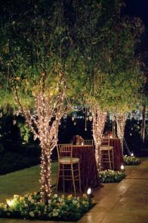 wedding photo - String Lights in Trees