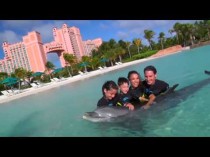wedding photo - Aktivitäten in der Familie auf den Bahamas