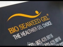 wedding photo - Review: Bio Seaweed Gel (Soak Off Gel)