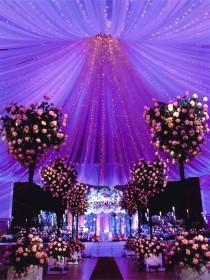 wedding photo - بلدي الكمال الزفاف.