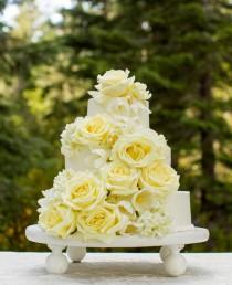 wedding photo - Mariages-Cakes