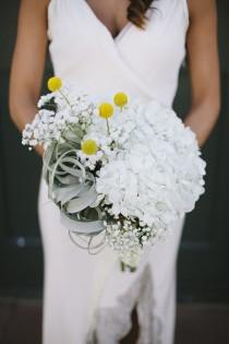 wedding photo - Petal Pick: Air Plants