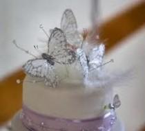 wedding photo - Mariage de papillon thème