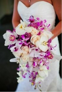 wedding photo - Mariage tropical
