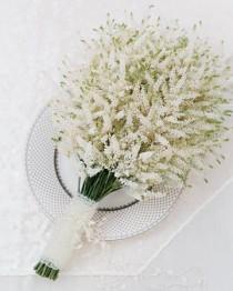 wedding photo - زفاف أبيض