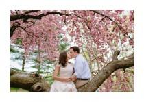 wedding photo - Cherry Blossom Wedding...