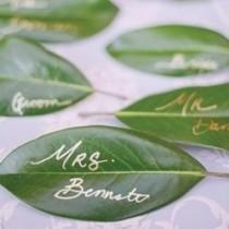 wedding photo - الأخضر أفكار زفاف صديقة للبيئة