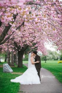 wedding photo - Вишня Цветет Свадьбы