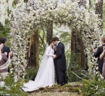 wedding photo - Märchenwald Hochzeiten