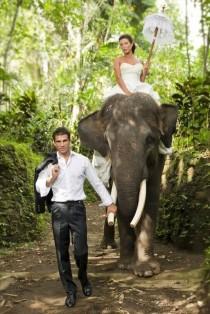 wedding photo - الوجهة الزفاف: بالي وتايلاند