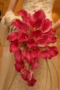 wedding photo - فوشيا الزفاف