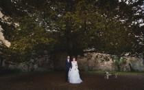 wedding photo - Sous le grand arbre