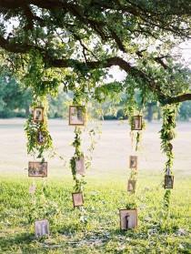 wedding photo - Green Eco-friendly Wedding Ideas