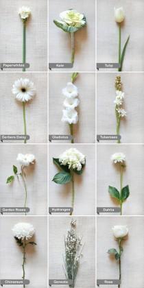wedding photo - Wedding Flower Guide