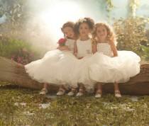 wedding photo - Mariages-filles de fleur-Ring Bearer
