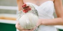 wedding photo - We Know Now That Animals And Weddings Go Hand In Hand
