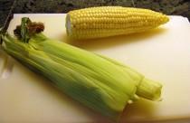 wedding photo - How to Make The Magic Corn Trick - Cooking - Handimania