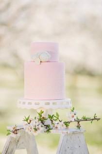 wedding photo - Almond Orchard Inspirational Shoot