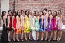 wedding photo - colorful wedding snaps
