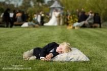 wedding photo - Photos that speak more than words