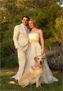 wedding photo - Животных На Свадьбах