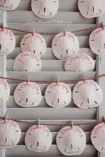 wedding photo - Sweet Summer SAND DOLLARS And SEASHELLS For Wedding Favors Or Seating