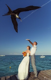 wedding photo - Hochzeits-Foto-Ideen