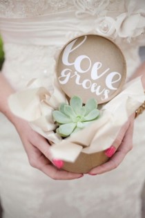 wedding photo - 26 Awesome Ways To Use Succulents In Your Wedding 