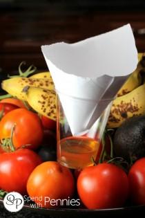 wedding photo - How to Make Anti-Fruit Flies Solution - DIY & Crafts - Handimania