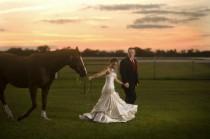 wedding photo - This bride had her horse walk her down the aisle