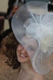 wedding photo - Veils
