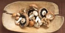 wedding photo - Mushrooms – Home Remedy For Cancer And Tumors