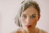 wedding photo - Lovely Blusher Veils
