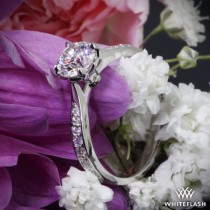 wedding photo - Platinum "Legato Sleek Line Pave" Diamond Engagement Ring