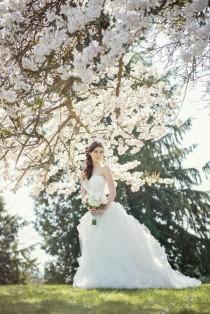 wedding photo - Vancouver's Cherry Blossoms