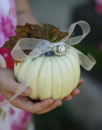 wedding photo - Ring Bearer Pillow Fall Pumpkin