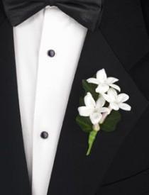wedding photo - Flower Facts