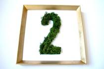 wedding photo - Make Moss Covered Table Numbers in Just 4 Easy Steps 