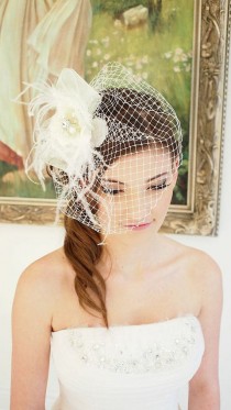 wedding photo - Rose & Feather Bird Cage Veil