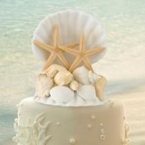 wedding photo - Coastal Sea Shell Cake Top