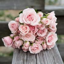 wedding photo -  Pink Bouquet