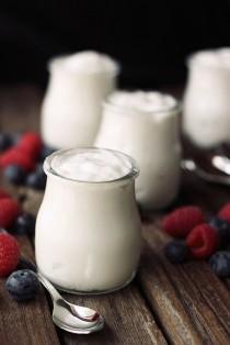 wedding photo - How to Make Coconut Milk Yogurt - Cooking - Handimania