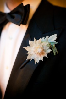 wedding photo - Blush (from Very Light To Very Dark) Wedding 