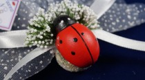 wedding photo - #wedding #beachwedding #ladybug #lavender #sachets #favors #funny #happy #organza #ribbon #red #bridalshower