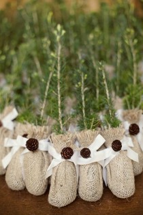 Winter Wedding Idea: Evergreens wedding photo - Winter Wedding Idea: Evergreens