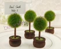 wedding photo - Topiary Place Card Holders