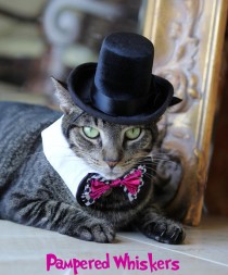 wedding photo - The Aristocrat black top hat for cats and dogs (hat only)